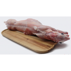 Conill (peça sencera)